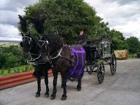 Horse drawn Carriage Hire   Disley 1084509 Image 5